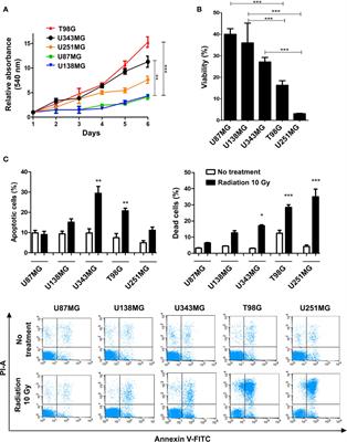 Expression Profiling of Glioblastoma Cell Lines Reveals Novel Extracellular Matrix-Receptor Genes Correlated With the Responsiveness of Glioma Patients to Ionizing Radiation